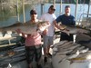 (07/29/2017) - Nice Striped Bass